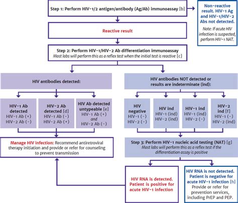 Understanding HIV laboratory tests .
